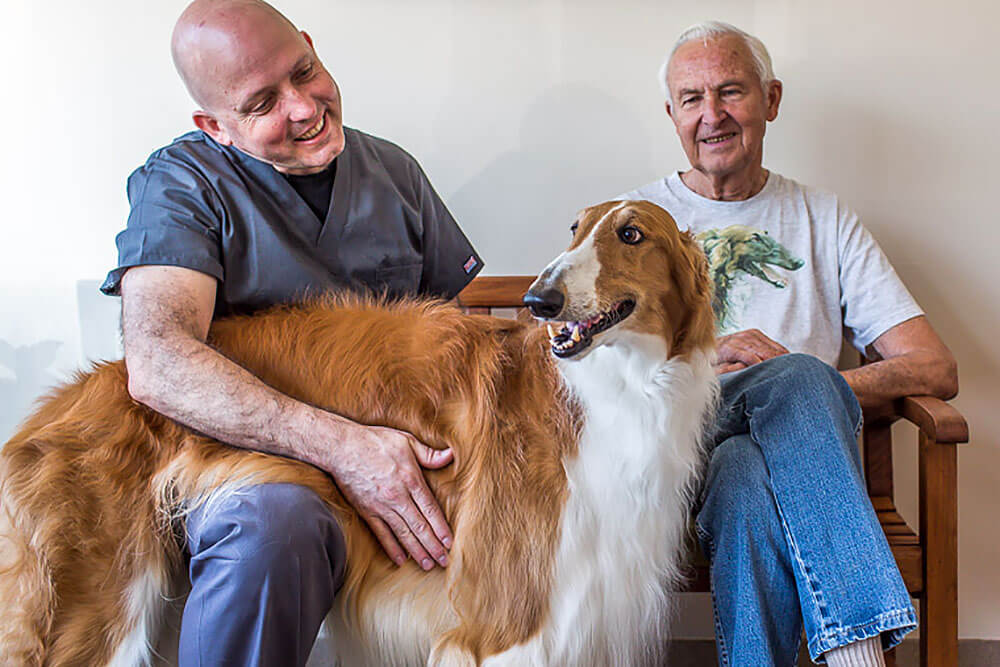 Animal Dental Clinic: About Animal Dental Clinic: About