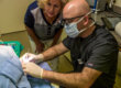 Animal Dental Clinic: farcas-client-probing
