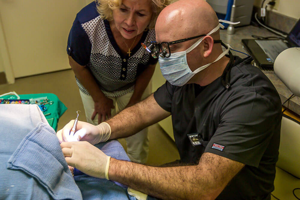 Animal Dental Clinic: farcas-client-probing