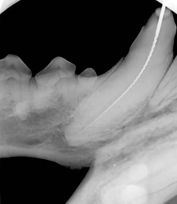 RCT File